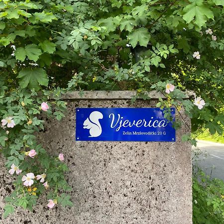 Apartments Vjeverica Zelin Mrzlovodicki Exterior photo