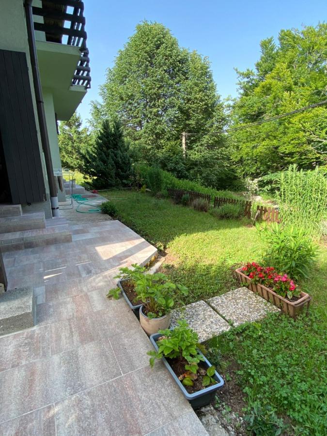 Apartments Vjeverica Zelin Mrzlovodicki Exterior photo